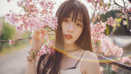 黑帽站长培训