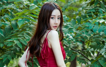 见效快的站长技术