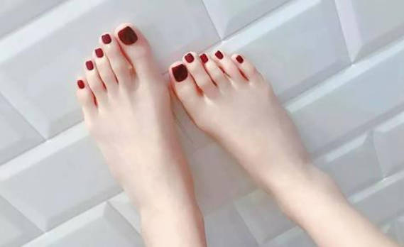 旅行记录者小行