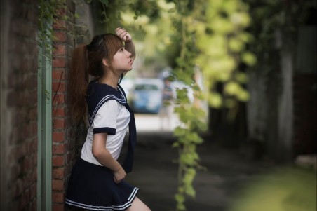 高考分数网