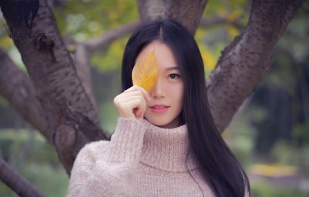 高考分数网