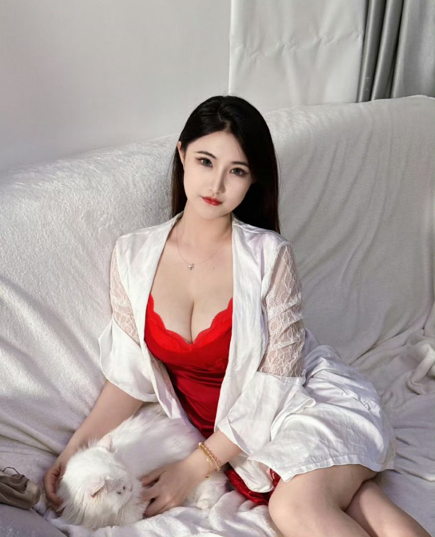 美食达人小厨