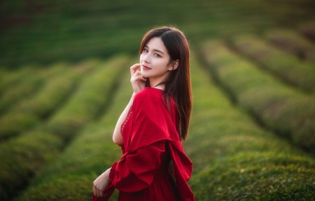旅行记录者小行