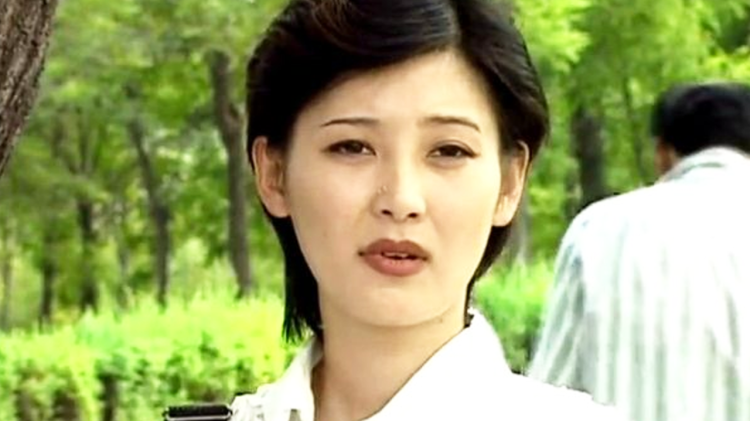 汪喵物语