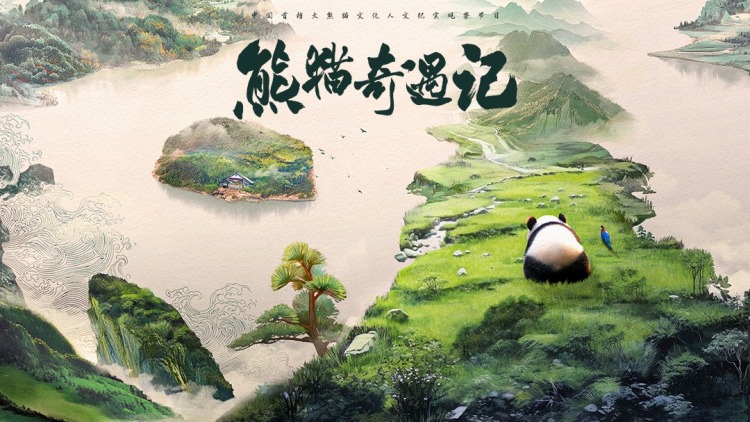 决胜法庭