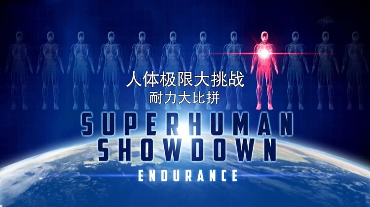 我是冠军短剧版