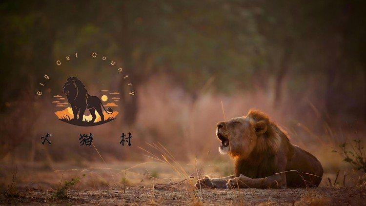 说好装情侣你怎么来真的