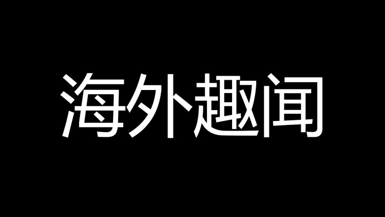 与你共赴岁月长