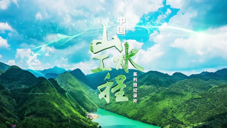 我能对话万物美女助我逆袭