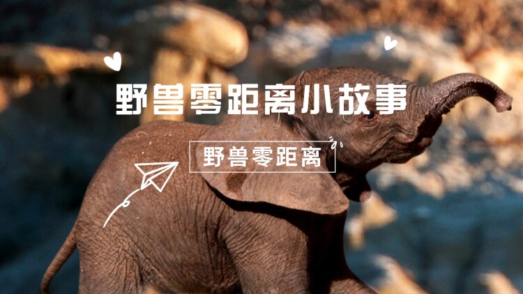 它来了