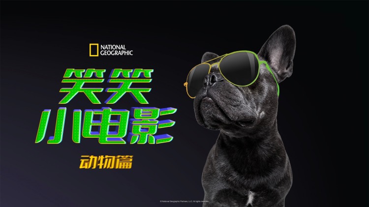 九公主下凡啦