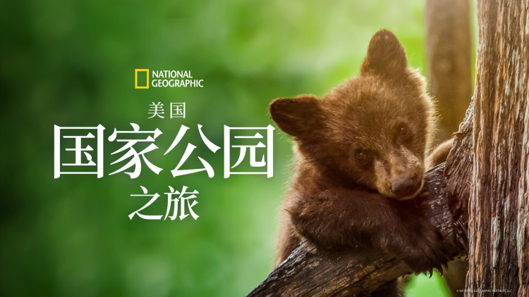 麦道夫华尔街吸金恶霸