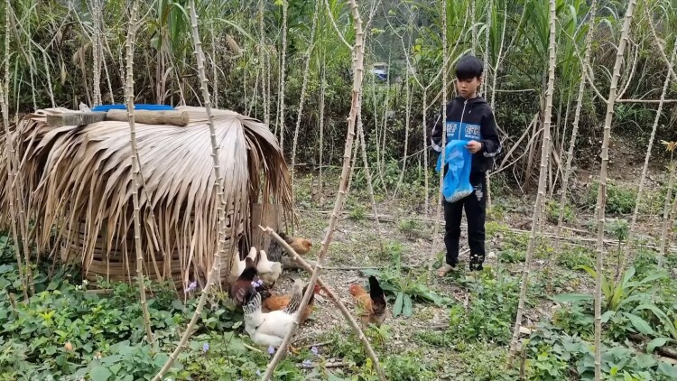 金钱堡垒的财富与权力斗争