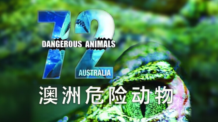 消散的残影