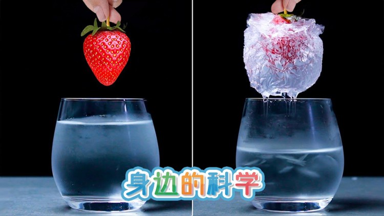 《缚春诏》_免费在线观看
