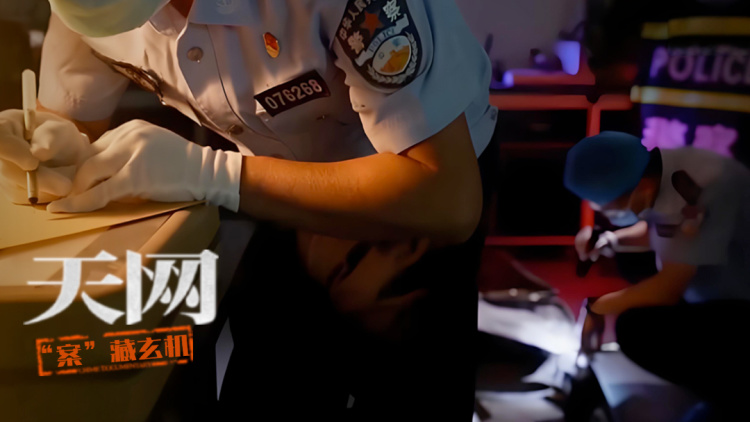 《总裁的贴身火爆男佣》考验与情感成长