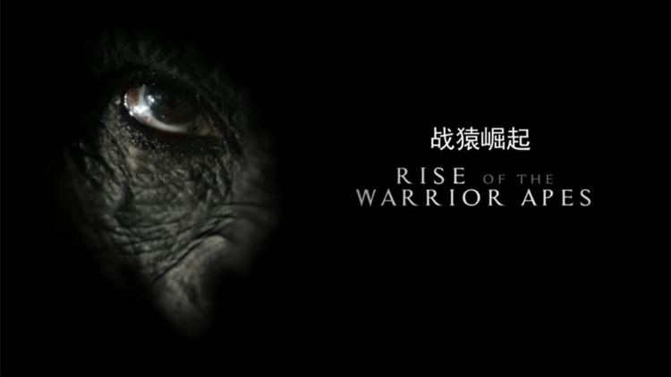 重回商界执掌九零年代：辉煌未来