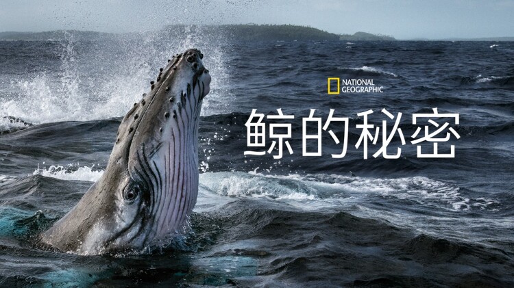 我最强毒士女帝直呼活阎王的热血对抗