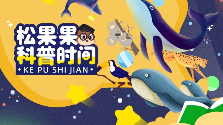在这种地方吃背叛饭呼风唤雨的七位董事