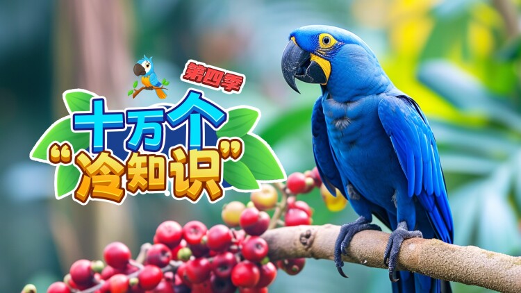 什么是nLite？它的功能和优势