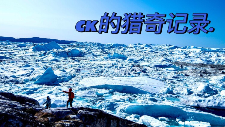 《玄学大佬惊艳全球》智谋与对决