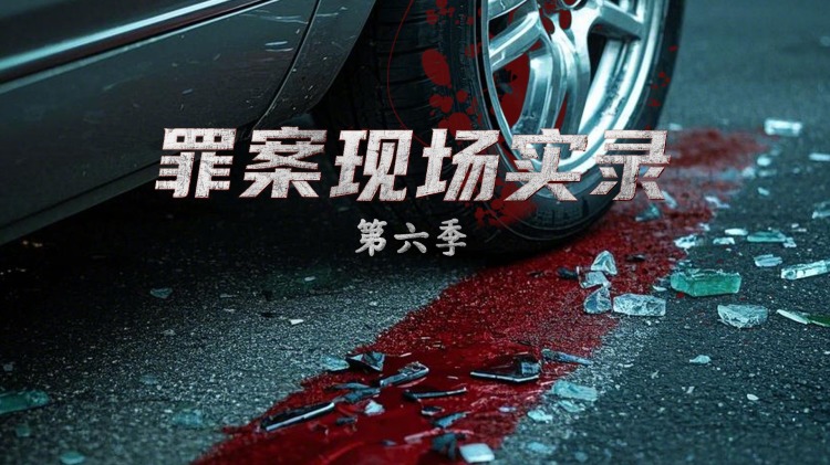 我送贤妻踏青云
