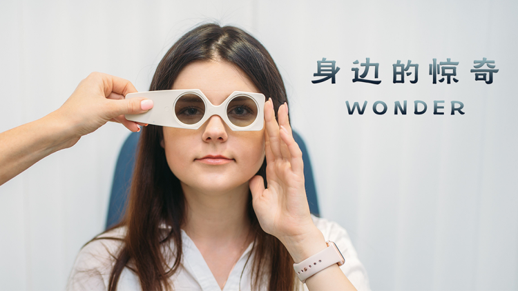 《春墙欲晚》_免费在线观看