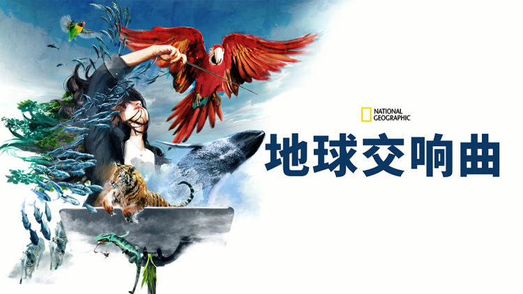 为什么选择合适的背景音乐？