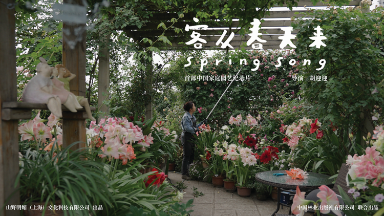 营救距离