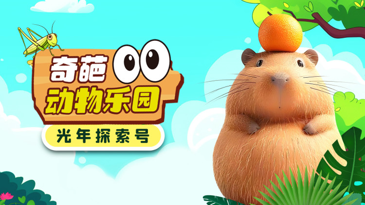 如何选择适合自己的区服？