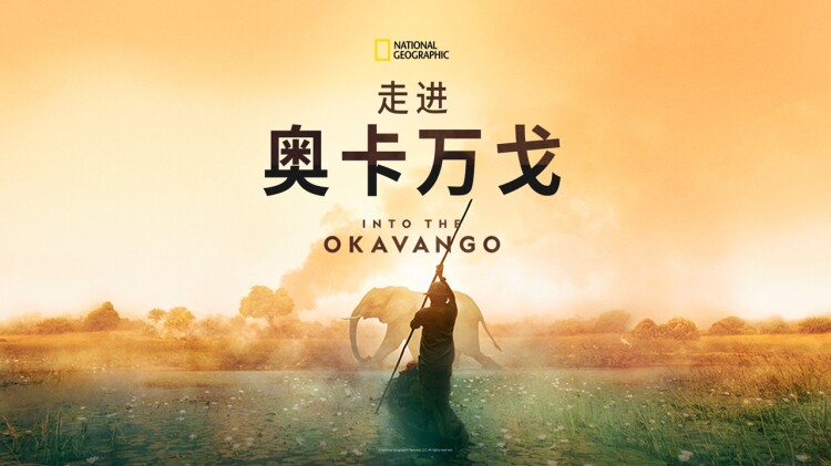 枭龙出狱——复仇与正义的终章