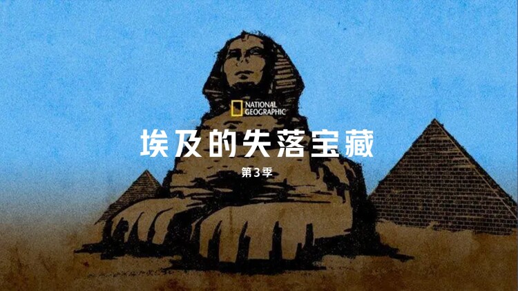 蜂鸟的开发历程与背景