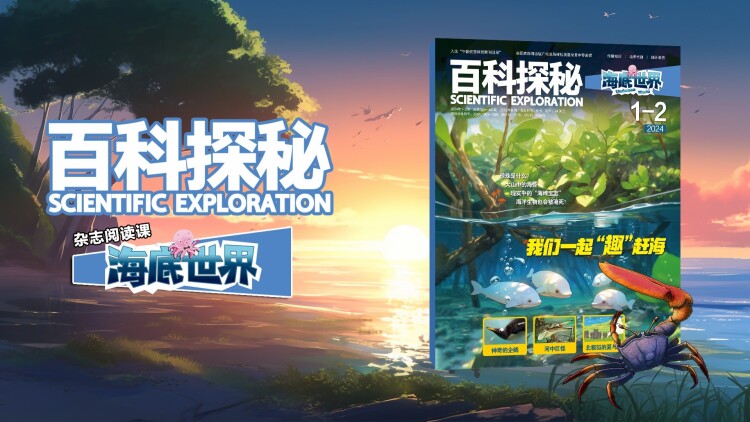 社交平台的隐私管理技巧：如何保护自己的社交圈