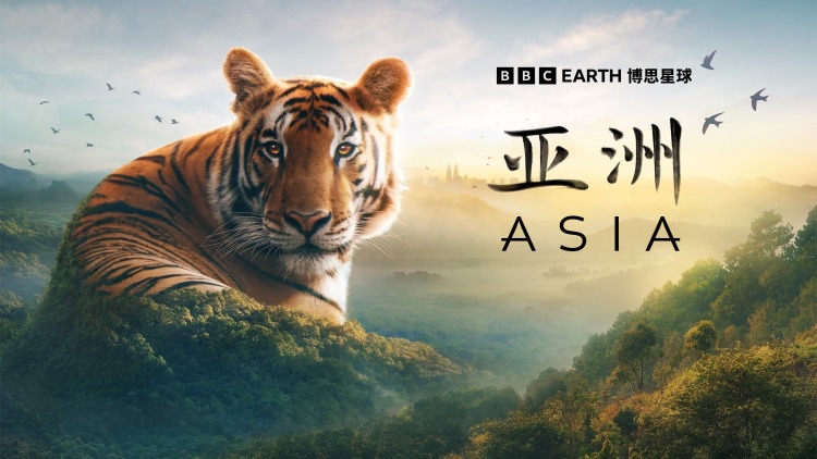 暴君