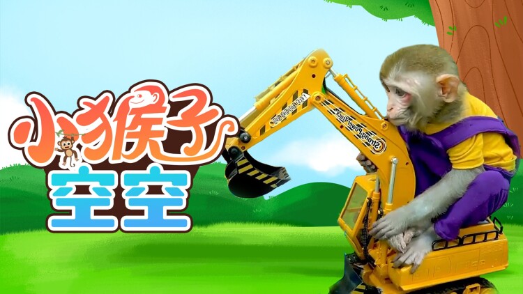 降临他的盛夏