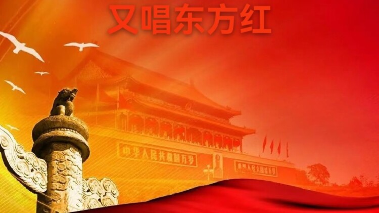 第七次心跳