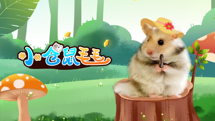 海军罪案调查处第十九季