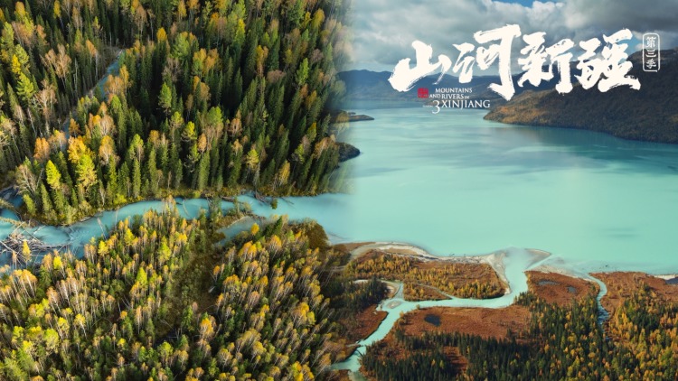 了解规则，掌握基本技巧