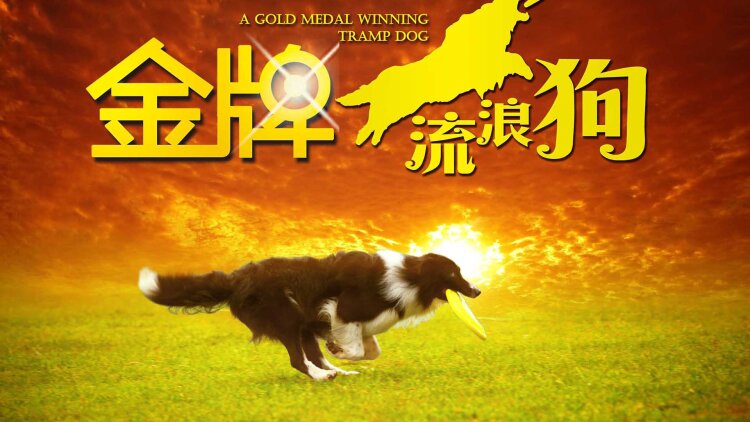 黑暗的欲望第二季