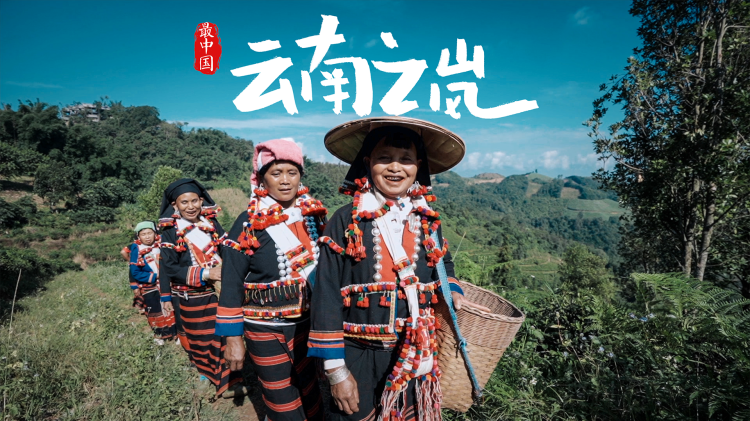 入魂津门玄案