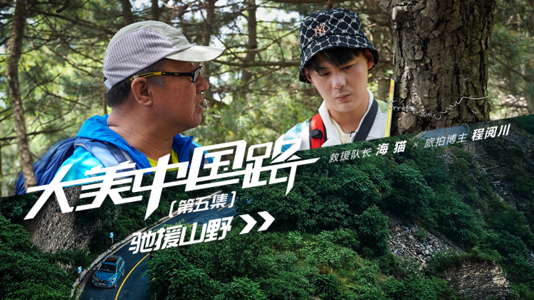 寻找灰公主的秘密