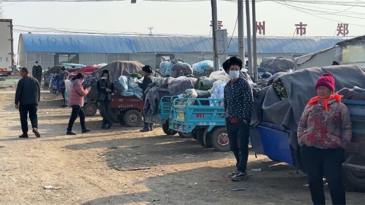 回不去的班主任