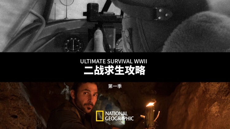猫头鹰魔法社第二季