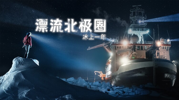 大雾散尽