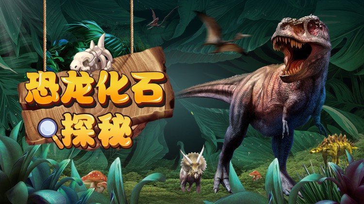 眼泪是你的谎言
