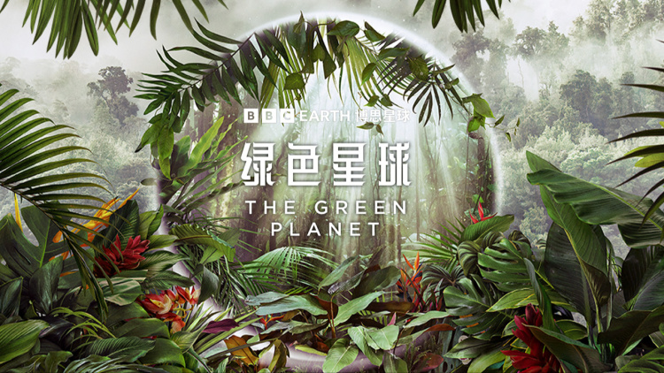 《京海狂飙》圆满结局与启示