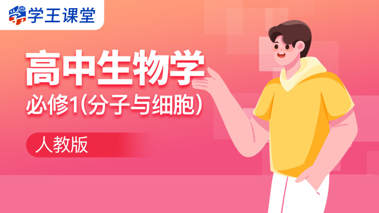 新护国龙帅