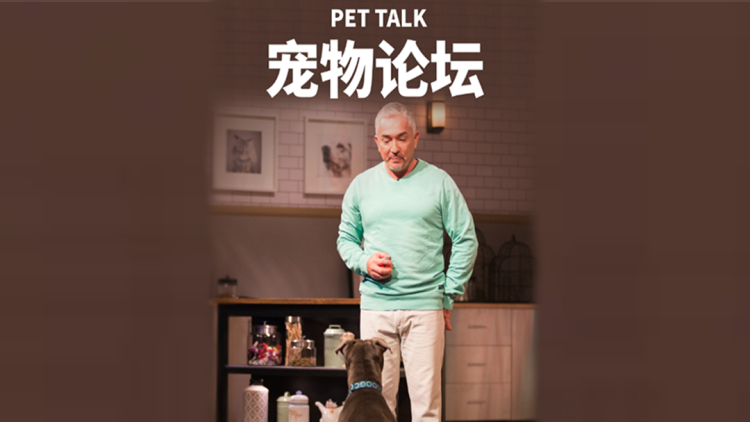 心尖意