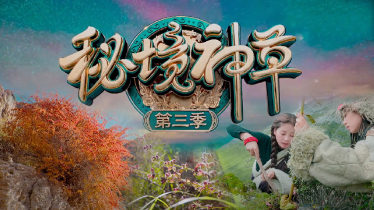 天影