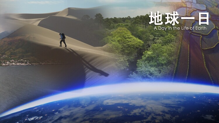 《将爱情进行到底短剧版》的幸福结局
